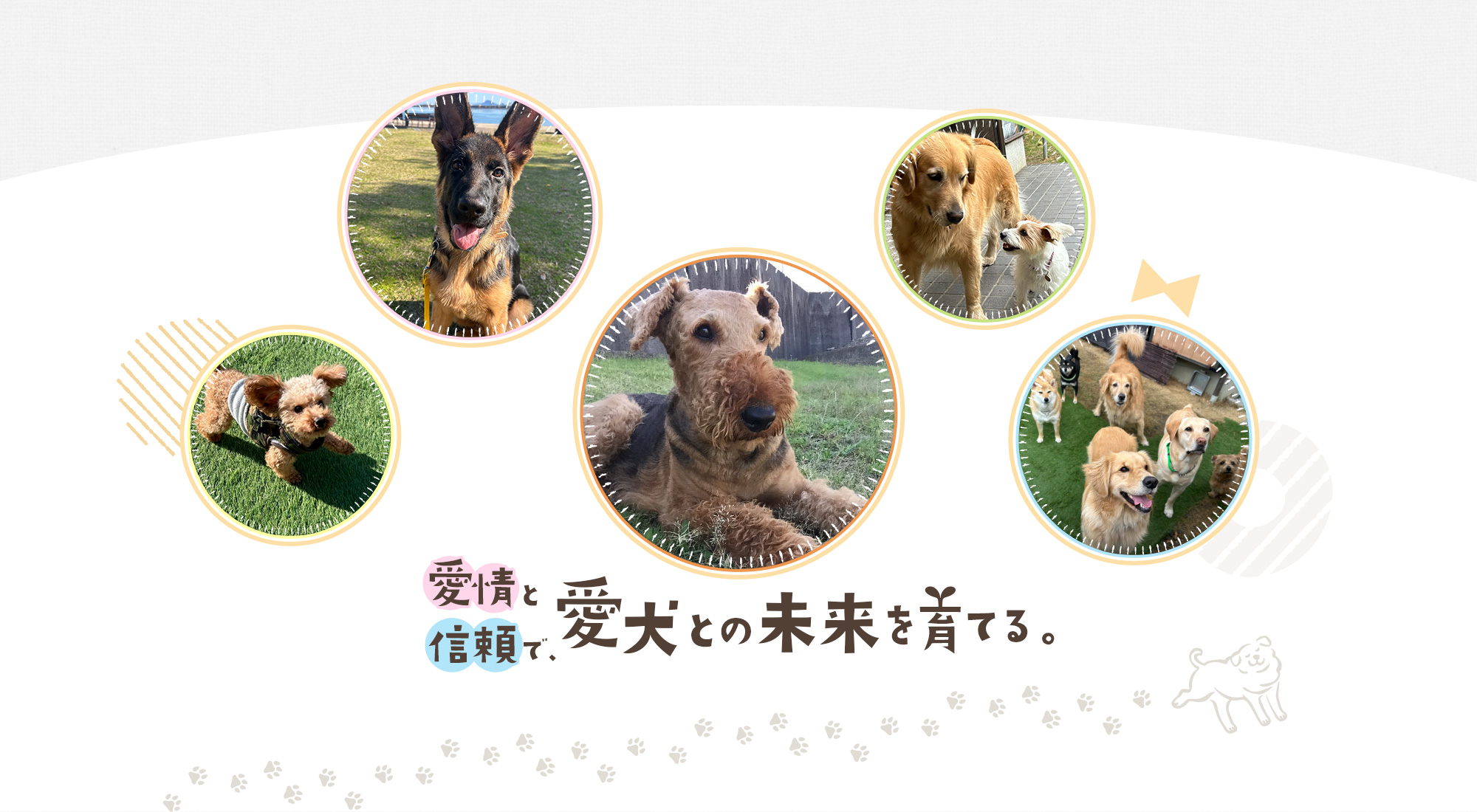 愛情と信頼で、愛犬との未来を育てる。