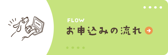 bnrhalf_flow