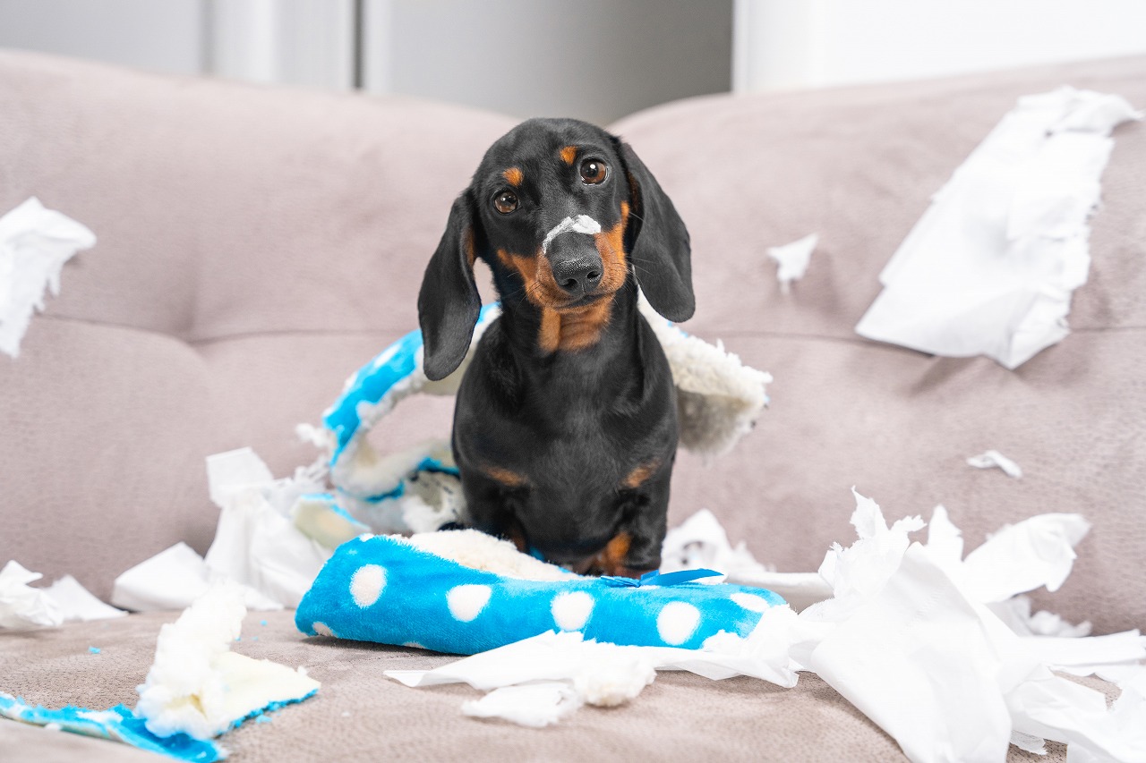 AdobeStock_402662840
