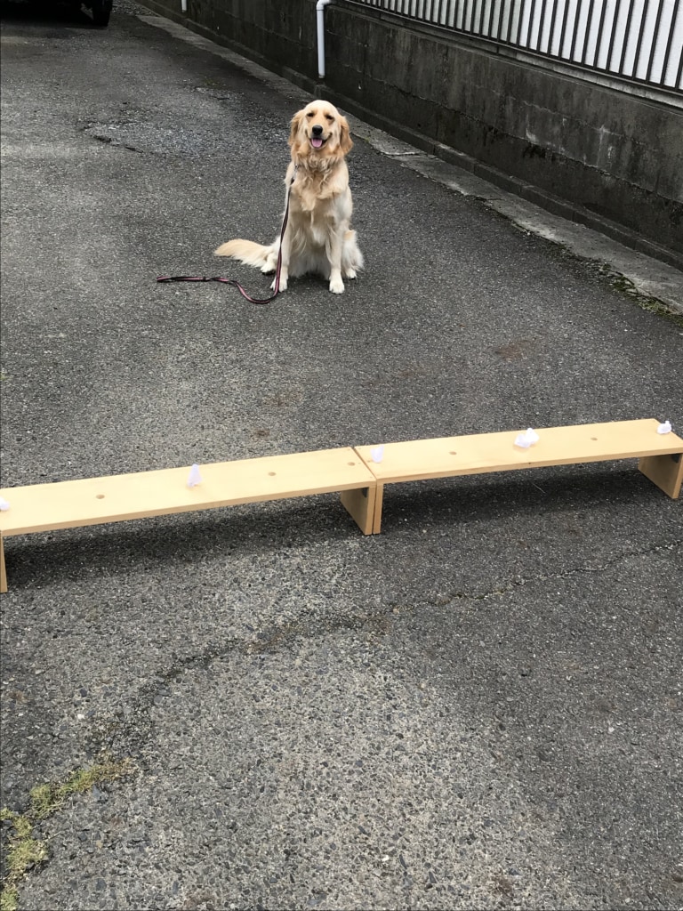 選別作業 選別作業