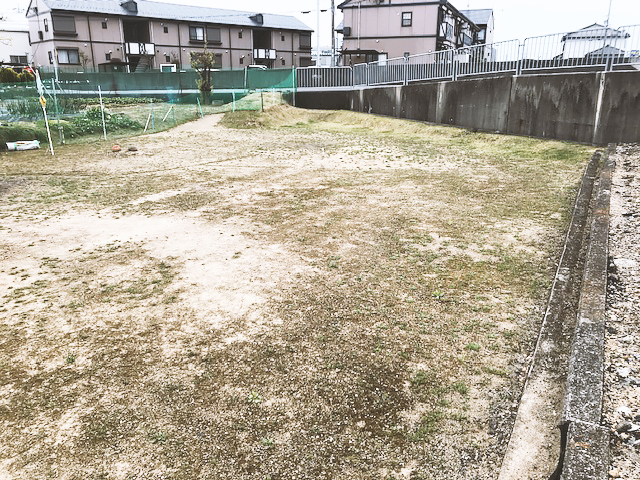 わんちゃんの遊び場＆訓練場