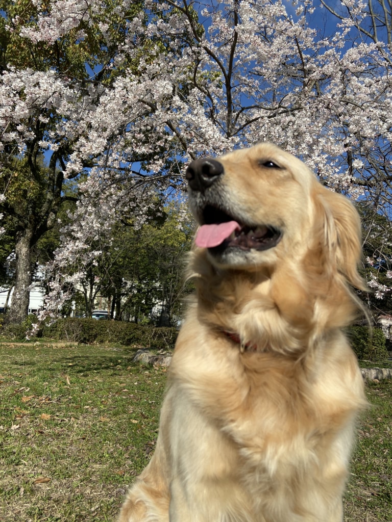 03.25水曜日 03.25水曜日