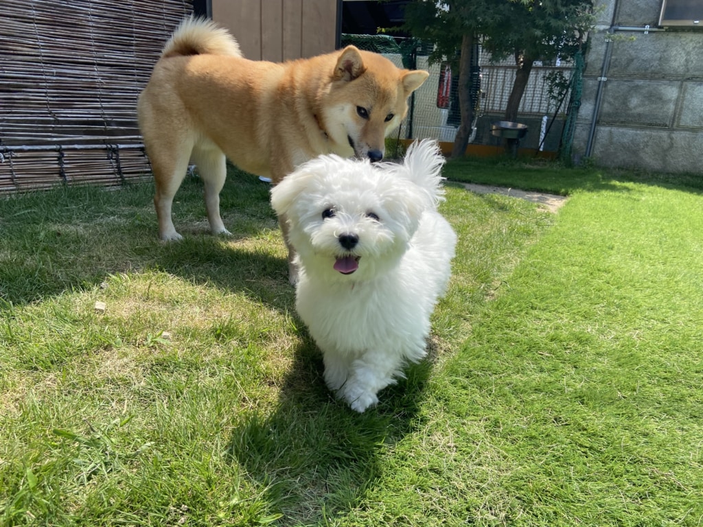 06/19/mon 06/19/mon