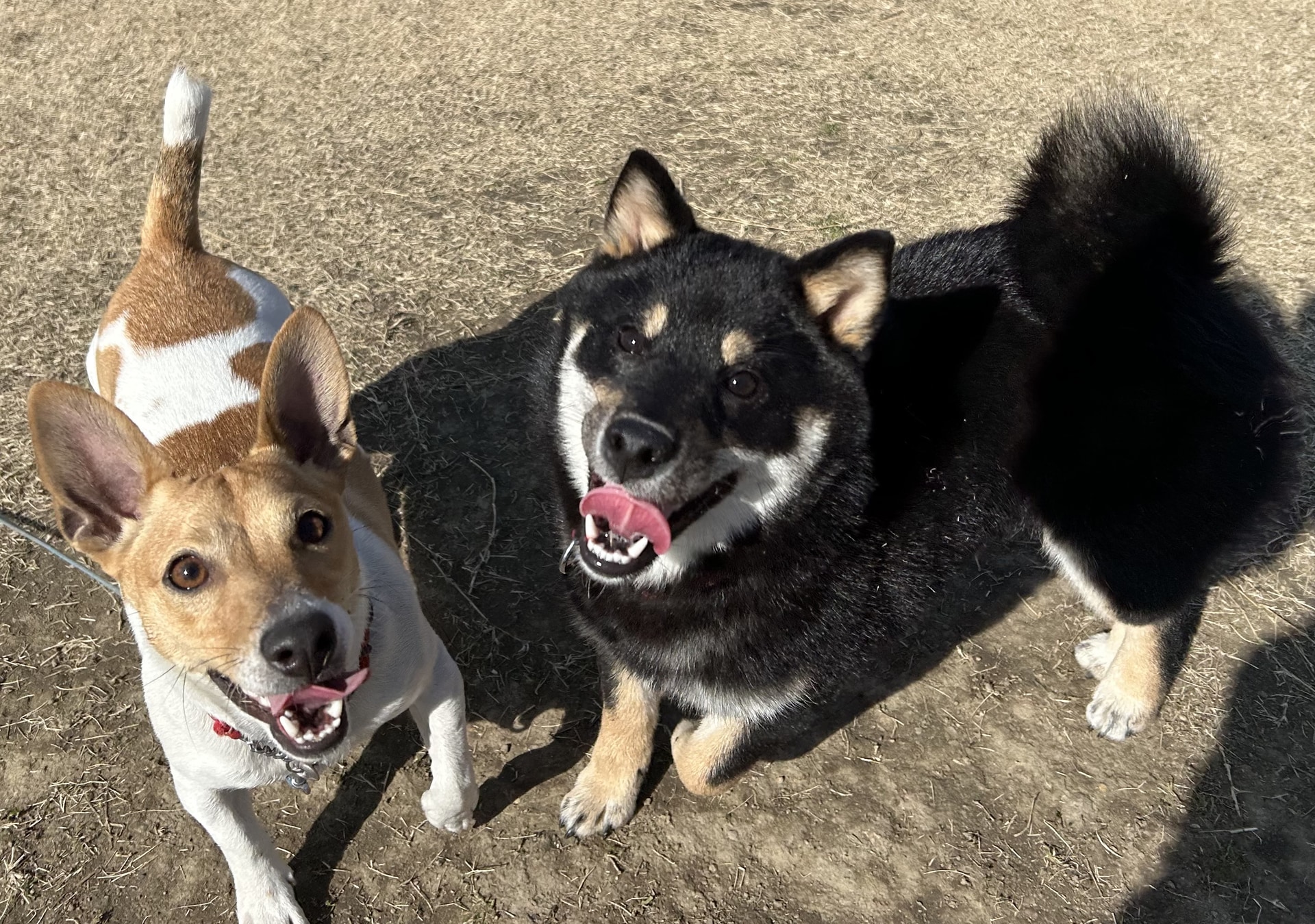 こんにちは😀