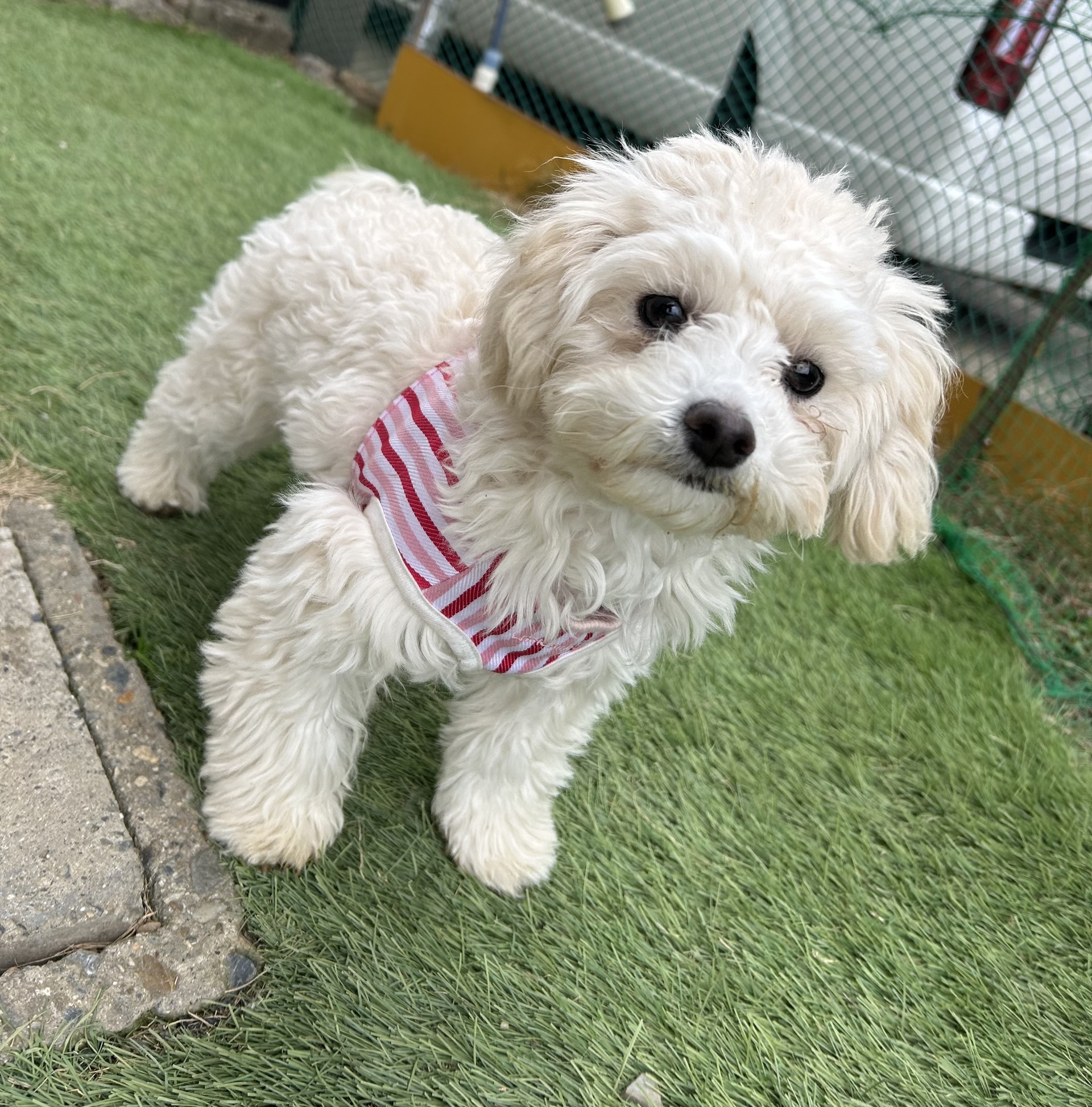 3月ですね
