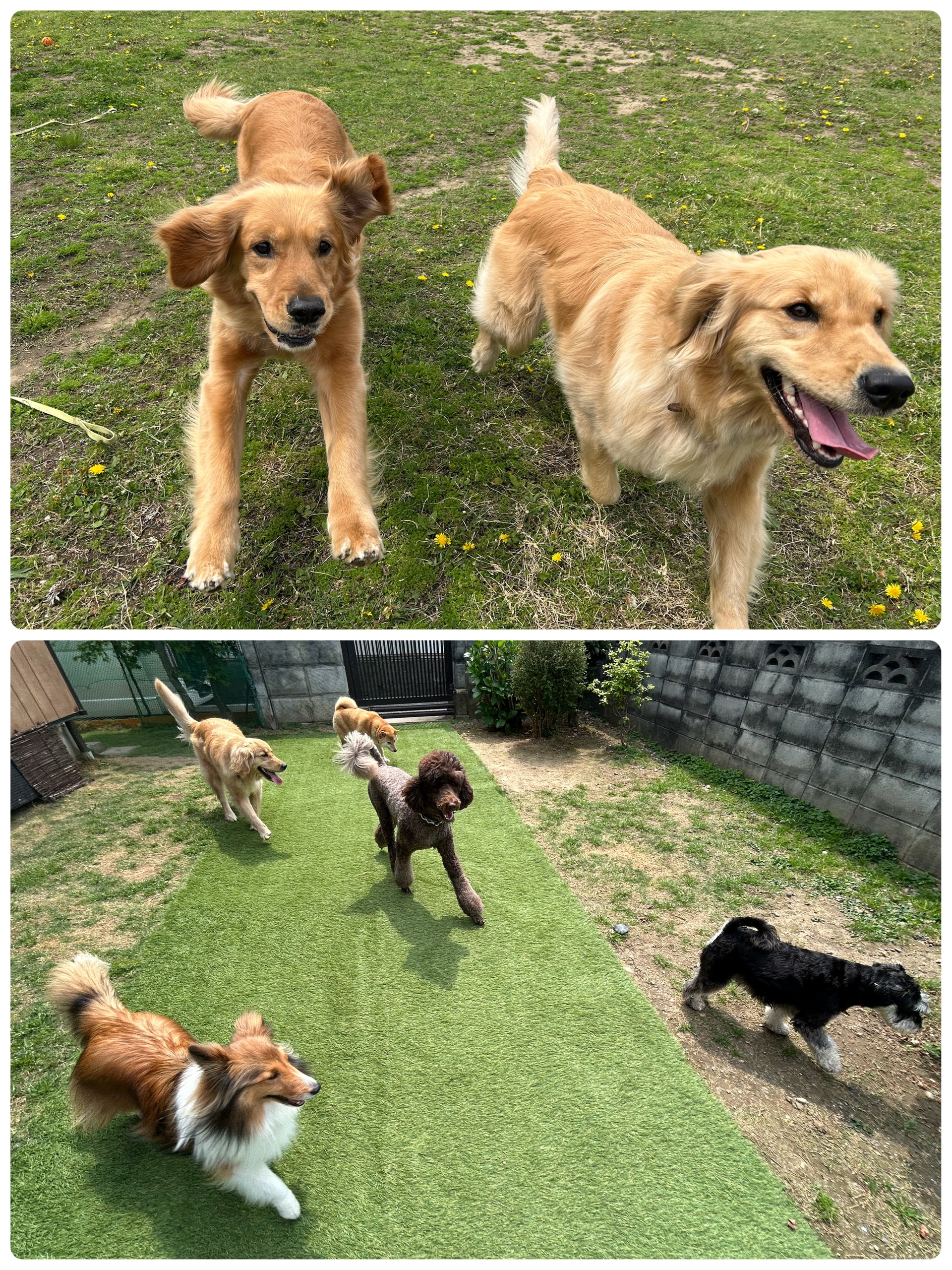こんにちは
