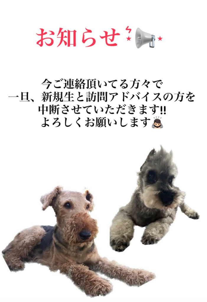 お知らせです‼️
